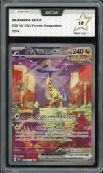 Auction visual on GCC