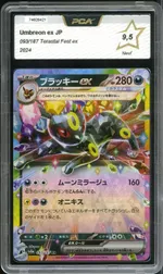 Auction visual on GCC