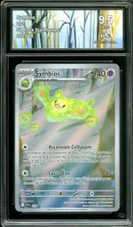 Auction visual on GCC