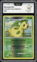 GCC marketplace card visual
