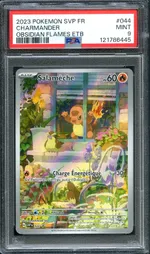 Auction visual on GCC