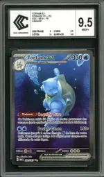 Auction visual on GCC