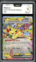 Auction visual on GCC