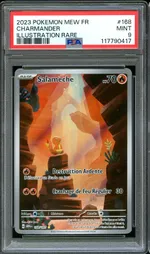 Auction visual on GCC