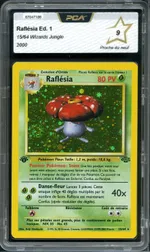 Auction visual on GCC