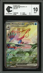 GCC marketplace card visual