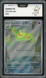 Auction visual on GCC