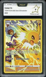 Auction visual on GCC