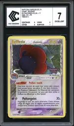 GCC marketplace card visual