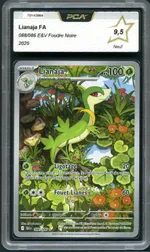 Auction visual on GCC