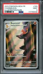 Auction visual on GCC