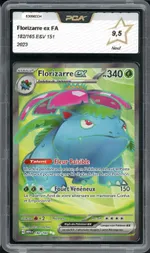 Auction visual on GCC