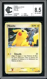 Auction visual on GCC