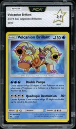 Auction visual on GCC