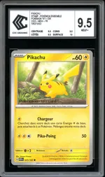 Auction visual on GCC