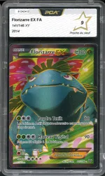 Auction visual on GCC