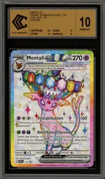 Auction visual on GCC