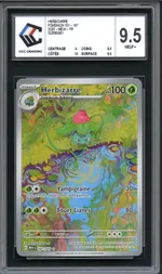 Auction visual on GCC