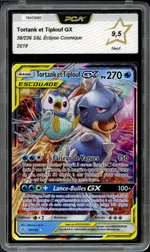 Auction visual on GCC