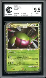 Auction visual on GCC