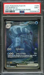 Auction visual on GCC