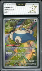 Auction visual on GCC