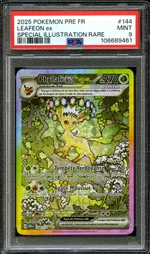 Auction visual on GCC