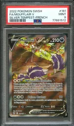 Auction visual on GCC