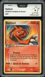 Auction visual on GCC