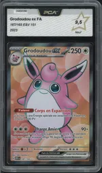 Auction visual on GCC