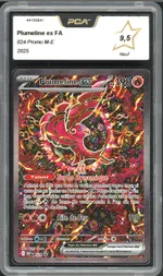 Auction visual on GCC