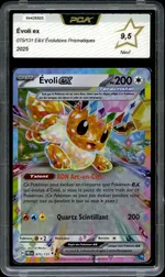 Auction visual on GCC