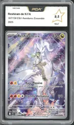 Auction visual on GCC