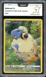 Auction visual on GCC