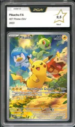 Auction visual on GCC