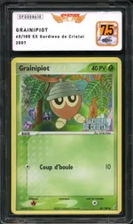 Auction visual on GCC