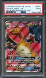 Auction visual on GCC