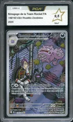 Auction visual on GCC