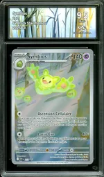 Auction visual on GCC