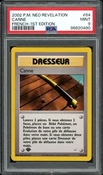 Auction visual on GCC