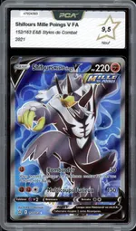 Auction visual on GCC