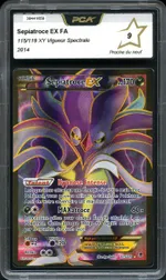 Auction visual on GCC