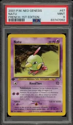 Auction visual on GCC