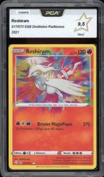 Auction visual on GCC