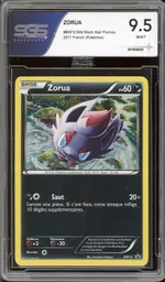 GCC marketplace card visual
