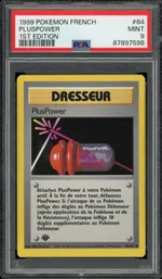 Auction visual on GCC