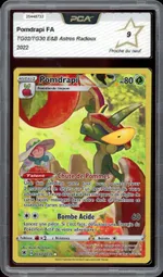 Auction visual on GCC