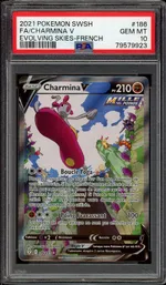 Auction visual on GCC