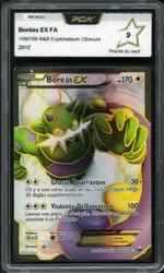 Auction visual on GCC