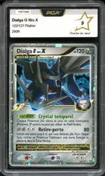 Auction visual on GCC
